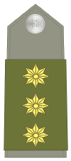 Rangos militares: Coronel