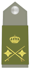 Rangos militares: General de División