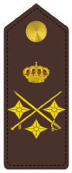 Rangos militares: Teniente General