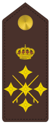 Rangos militares: Capitán General